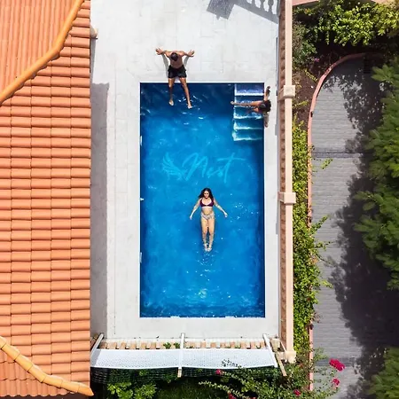 Hostel Duque Nest *